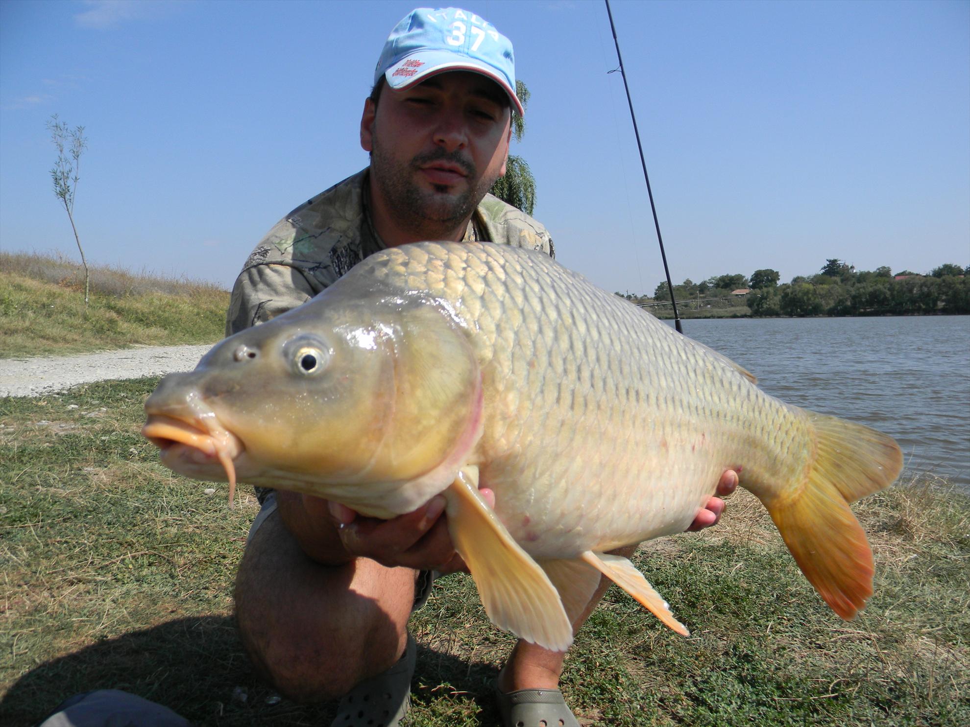 Capturi - dscn1009.jpg